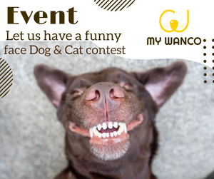 Let us have a funny face dog & Cat contest📣