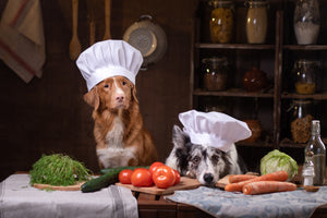 Importance of homemade food and dog's Life expectancy