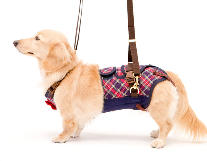 Small dogs and Dachshund | Red & Navy Plaid