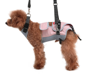 Small dogs and Dachshund | American Stripe Red & Grey
