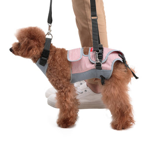 Small dogs and Dachshund | American Stripe Red & Grey