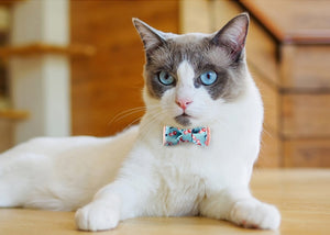 Pink & Sky Blue-Cherry L Size : Colorful Durable Fabric Webbing Cat Collar Bow Tie