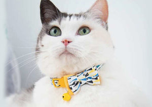 Pink-Stripe L Size : Colorful Durable Fabric Webbing Cat Collar Bow Tie