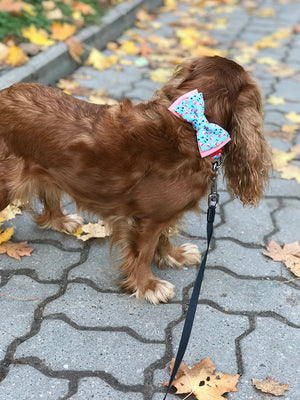 Pink & Blue-Polka L Size : Colorful Durable Fabric Webbing Dog Collar Bow Tie