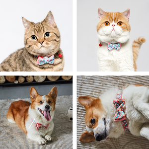 Pink & Blue-Polka L Size : Colorful Durable Fabric Webbing Cat Collar Bow Tie