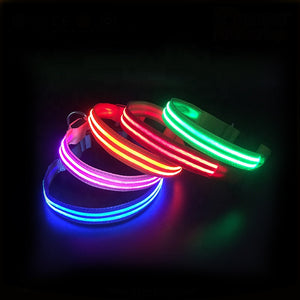 Waterproof USB Rechargeable Collar LED Flashing Light Up