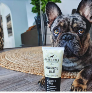 Top selling products |  Paw & Nose 60g  (DoggieBalm)
