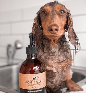 Bath time Nourish Pack【Natural Manuka & Hemp Shampoo and Conditioner 500g | Paw & Nose 60g】(DoggieBalm)